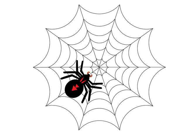 SEO之通常所说的引蜘蛛是什么意思？